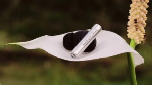 Bang & Olufsen Beo Grace – exklusiva in-ear-hörlurar i titan med premiumdesign